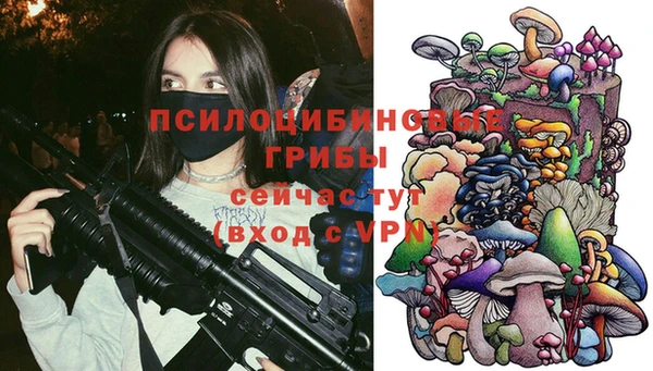 apvp Покачи