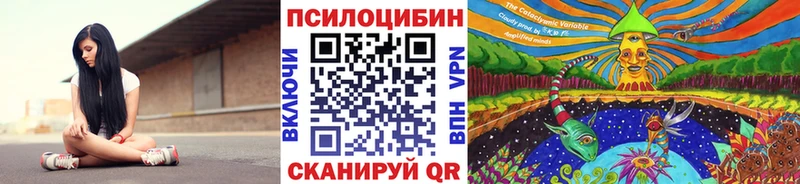 где можно купить   Чекалин  Галлюциногенные грибы MAGIC MUSHROOMS 
